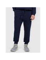 Pánské tepláky typu jogger 4F 4FRMM00TTROM1624-31S