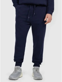 Pánské tepláky typu jogger 4F 4FRMM00TTROM1624-31S