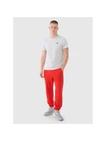 Pánské tepláky typu jogger 4F 4FWMM00TTROM1139-62S