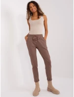 Tepláky RV DR 7517.22 hnědá Tepláky RV DR 7517.22 hnědá