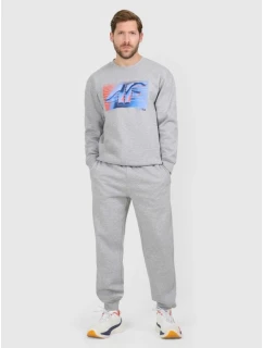 Pánské tepláky typu jogger 4F 4FRAW25TTROM1832-27M