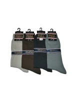 Pánské ponožky Regina Socks Passa