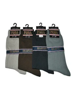 Pánské ponožky Regina Socks Passa