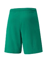 Pánské kraťasy teamRISE Short M 704942 05 - Puma