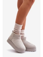 Dámské Sněhule Na Platformě Zateplené Kožíškem Světle Šedé Xamella