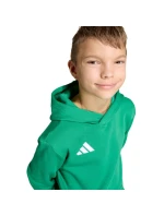 Dětská mikina adidas Entrada 26 Hoody zelená JZ6563