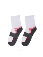 Pánské ponožky Wola Sportive W94.1N5 Ag+