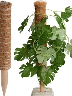 KOKOSOVÁ PODPĚRA PRO ROSTLINY 50 CM PROGARDEN