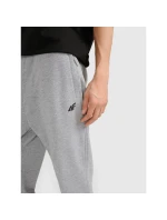 Pánské tepláky typu jogger 4F 4FRMM00TTROM1624-27M