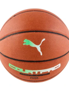 Puma TeamJAWS Court Pro Basketbal hnědá 84685 01