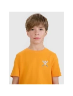 Chlapecké tričko s potiskem 4F 4FJRSS25TTSHM2642-70S