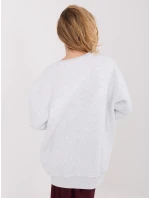 WT BL mikina A1047.69 světle šedá