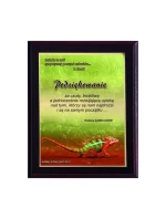 Plastový diplom s barevným dotykovým laminátem Plastový diplom s barevným dotykovým laminátem