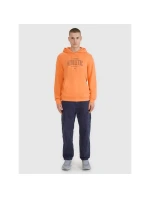 Pánská nepropínací mikina s kapucí 4F 4FRSS25TSWSM2201-70S pánská