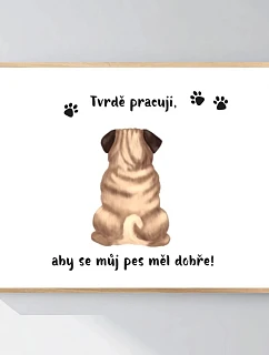 Personalizovaný magický fotoobraz v rámu - 40x50 - ilustrace mazlíčků