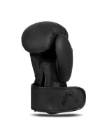 Boxerské rukavice 10oz - Mono - Valor Series