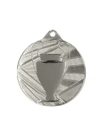 Celková stříbrná medaile s pohárem