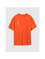 Pánské tričko oversize s potiskem 4F 4FRSS25TTSHM2652-70S pánské Pánské tričko oversize s potiskem 4F 4FRSS25TTSHM2652-70S pánské