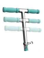 RAZOR Model A Paradise dětský skútr (13010343) RAZOR Model A Paradise dětský skútr (13010343)