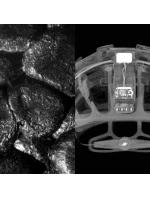 Sportovní čepice Orange, White