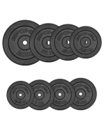 Litinové závaží 2,5 kg Spokey Sinis SPK-944483