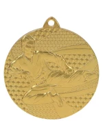 Zlatá medaile karate - ocelová medaile
