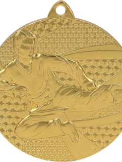 Zlatá medaile karate - ocelová medaile