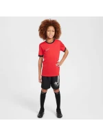 Tričko Nike Dri-Fit Academy 25 SS Jr FZ9758 657