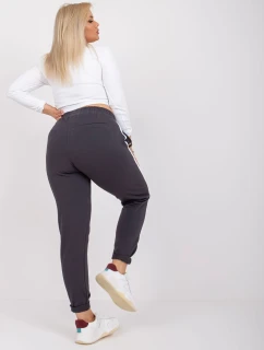 Tepláky RV DR 6643.95 grafit