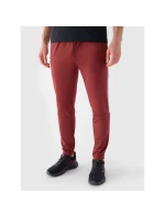 Pánské rychleschnoucí tréninkové kalhoty 4F 4FRAW24TFTRM0933-61S