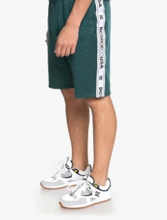 DC HEGGERTY SHORT JUNE BUG SEDYFB03047