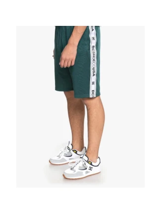 DC HEGGERTY SHORT JUNE BUG SEDYFB03047