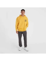 O'Neill Future Surf Society Hoodie M 92800613450