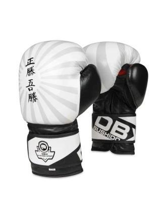 Boxerské rukavice 10oz - Japonsko - Valor Series
