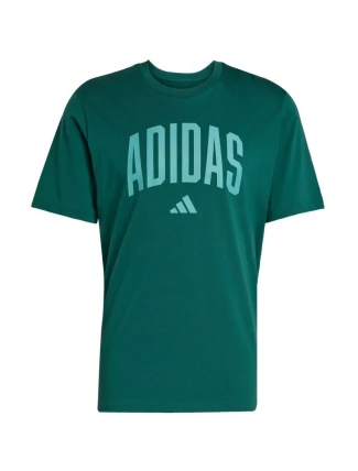 Tričko adidas Collegiate Lineage Graphic M KA7135 pánské