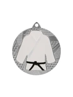 Stříbrná medaile v judu/karate