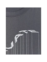 Pánské tričko s potiskem 4F 4FRAW25TTSHM3845-22S