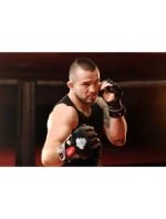 Rukavice MMAM - Ninja - LegacySeries