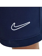 Šortky Nike Dri Fit Academy 25 Jr FZ9784 410