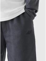 Chlapecké tepláky 4F