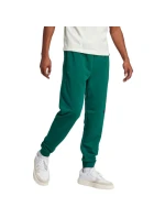 Kalhoty adidas Essentials Big Logo French Terry M JE8971