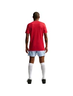Pánské tričko Nike Dri-Fit Park 26 SS Top červené HM7127 657 pánské