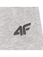 Šortky 4F CAS M543 M 4FWMM00TSHOM543 27M