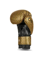 B-2v23 boxerské rukavice 10 oz