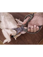 NexTool sada 6 cestovních nástrojů na vaření NE20325 NexTool sada 6 cestovních nástrojů na vaření NE20325