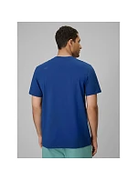 Pánské hladké tričko 4F 4FRSS26TTSHM4261-30S
