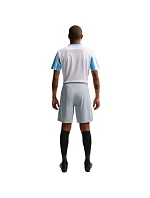 Pánské šortky Nike Dry Park III NB K light grey BV6855 012