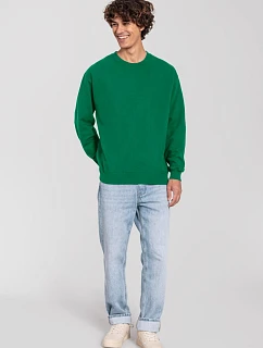 Fruit of the Loom Iconic 250 Set-In Sweat Mikina 16.2292 college green