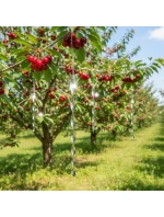 REFLEXNÍ VISAČKY PROTI PTÁKŮM 29 CM 4KS