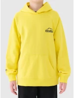 Chlapecká mikina 4F Chlapecká mikina 4F